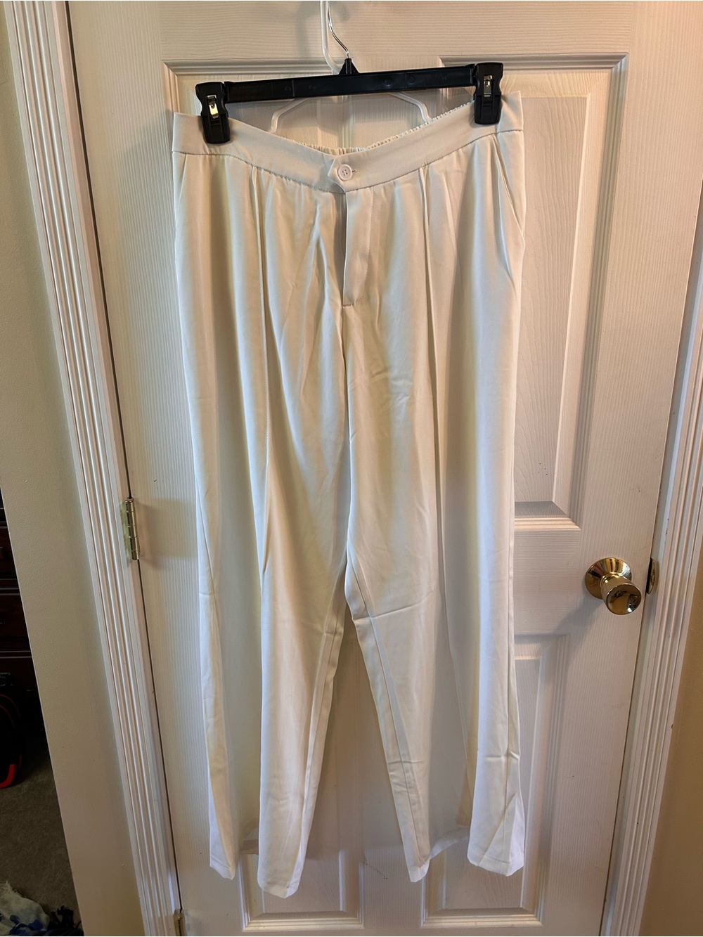 Wide-Leg Pleated Dress Pants in Cream